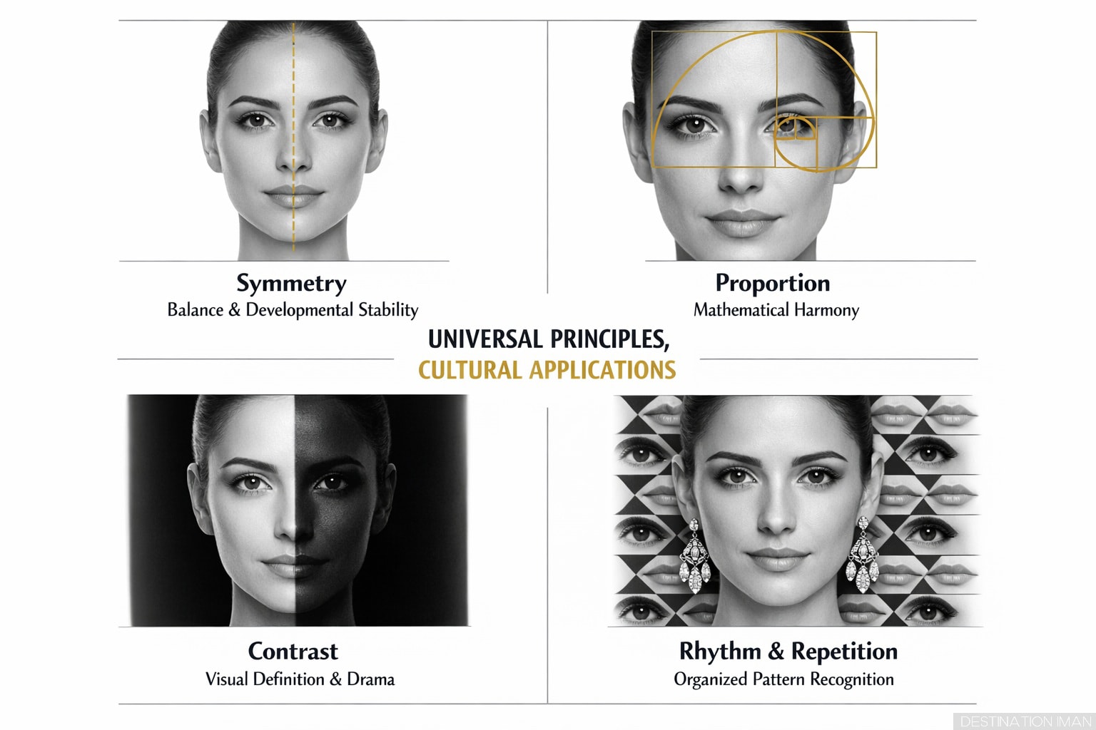 Educational diagram showing aesthetic principles: grid demonstrating symmetry, golden ratio spiral overlay, contrast examples, pattern repetition, with face and design elements illustrating each principle