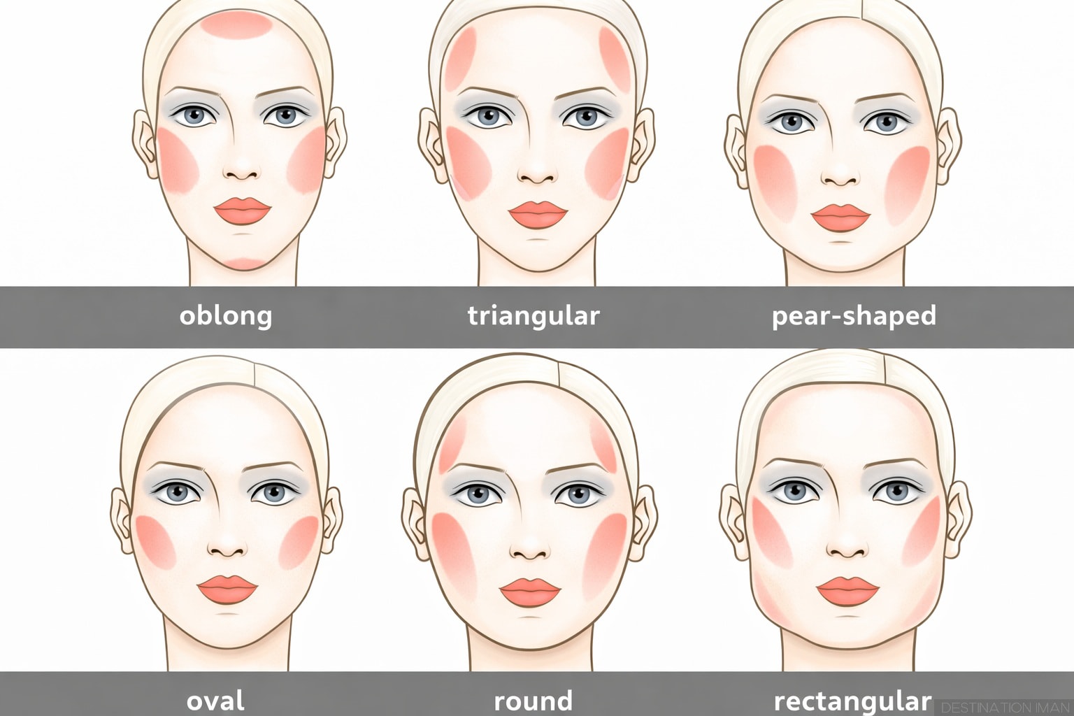Blush placement guide for different face shapes showing optimal application areas