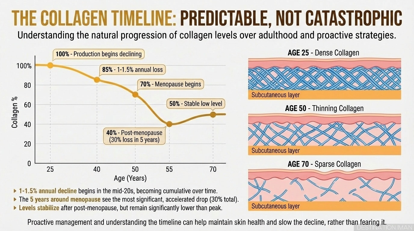 Diagram showing collagen decline timeline from age 25 to 80: 1-1.5% annual loss, accelerating to 30% reduction in first 5 years of menopause, with facial cross-sections showing collagen network deterioration