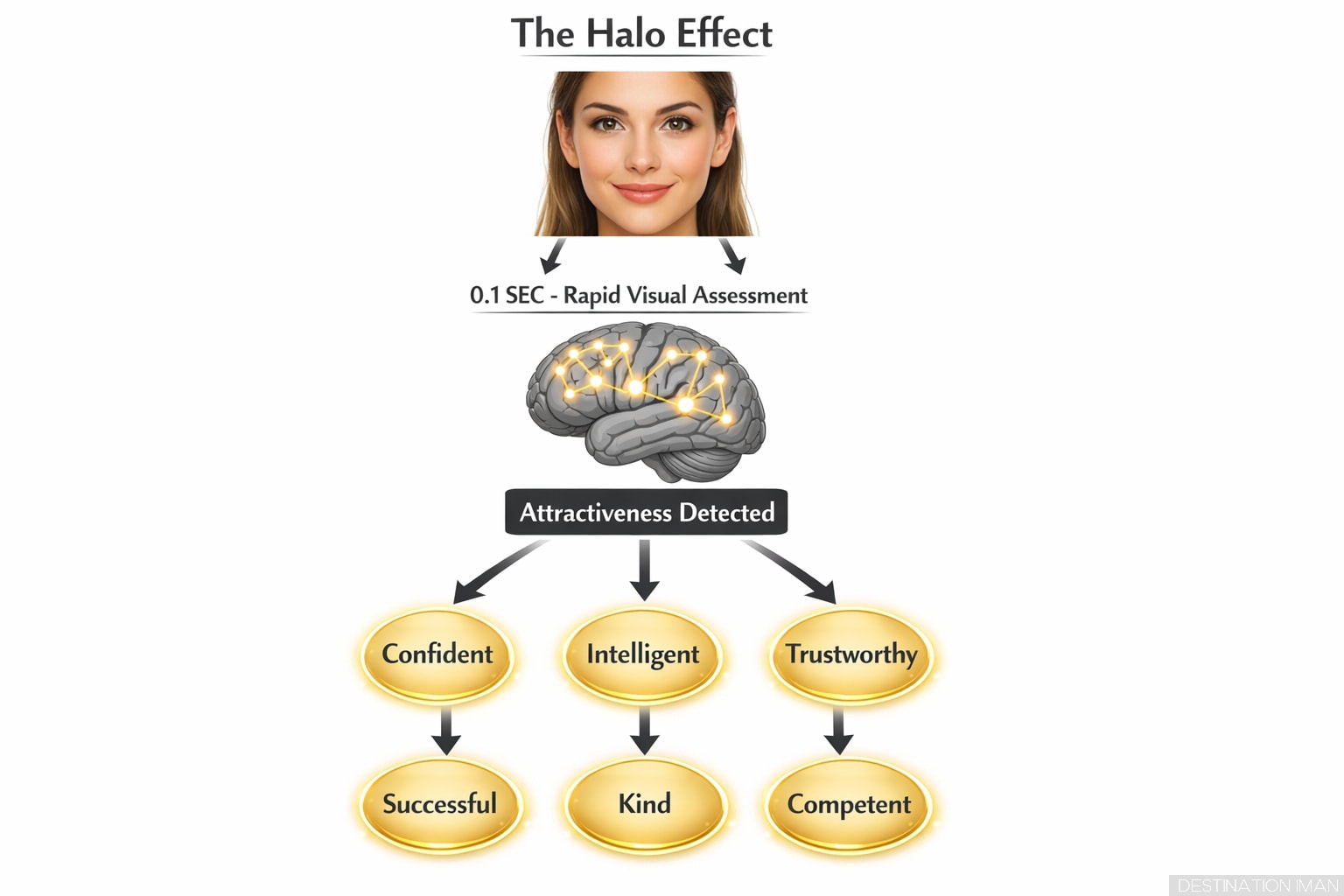Flow diagram showing halo effect process: attractive face at top, arrows pointing to brain with rapid assessment 0.1 seconds, then branching arrows pointing to multiple trait bubbles - confident, intelligent, trustworthy, successful, kind, competent - demonstrating how single positive trait generalizes