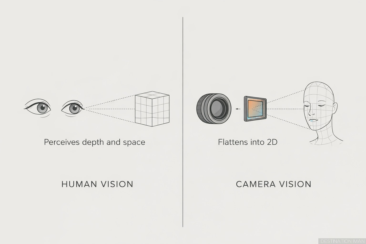 Diagram comparing human binocular vision that perceives depth and space versus camera vision that flattens three-dimensional faces into two dimensions