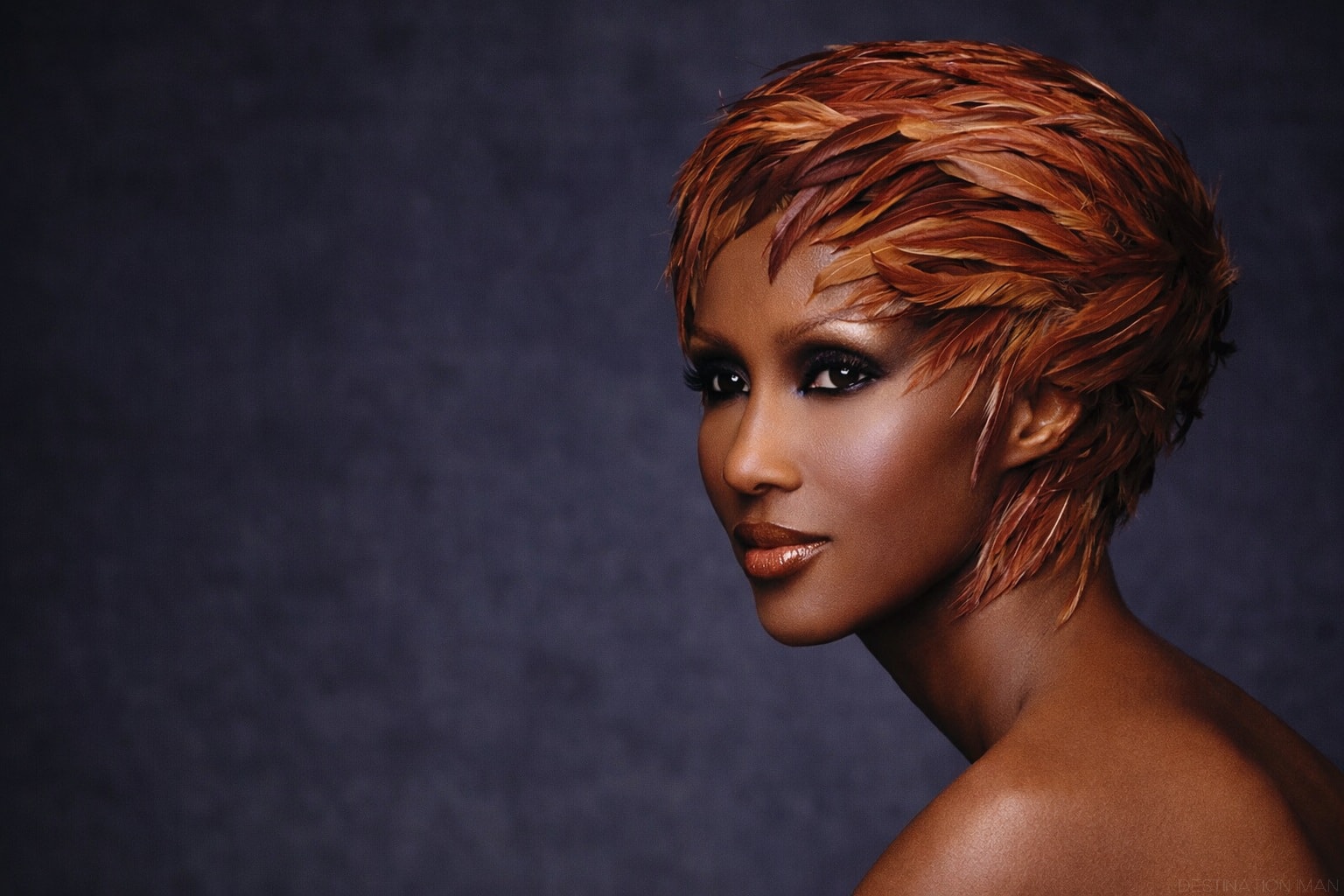 Iman portrait showing natural glowing skin with minimal makeup demonstrating her timeless skincare results